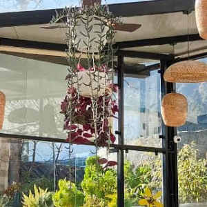 imgi_30_WhatsApp_Image_2024-01-12_at_10.29